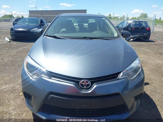 Продаж на аукціоні авто 2014 Toyota Corolla Le, vin: 2T1BURHE9EC213074, номер лоту: 12619435