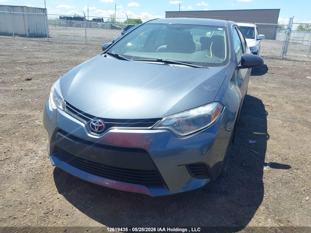 Продаж на аукціоні авто 2014 Toyota Corolla Le, vin: 2T1BURHE9EC213074, номер лоту: 12619435