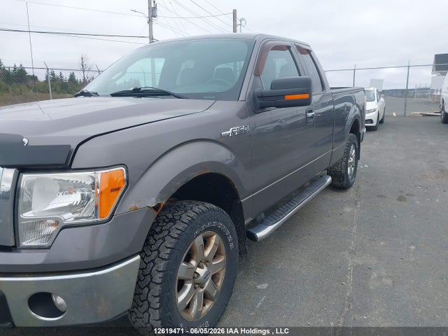 Продаж на аукціоні авто 2013 Ford F-150 Xlt, vin: 1FTFX1EF9DFD71539, номер лоту: 12619471