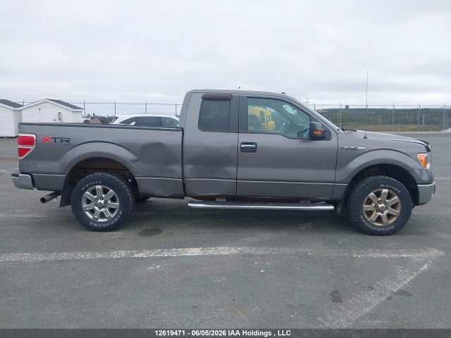 Продаж на аукціоні авто 2013 Ford F-150 Xlt, vin: 1FTFX1EF9DFD71539, номер лоту: 12619471