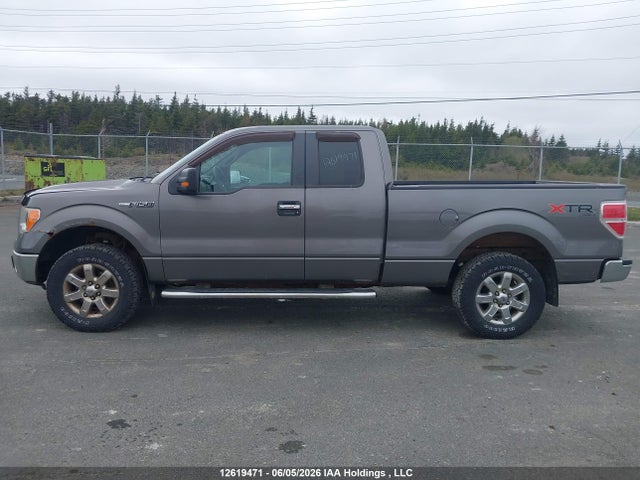 Продаж на аукціоні авто 2013 Ford F-150 Xlt, vin: 1FTFX1EF9DFD71539, номер лоту: 12619471