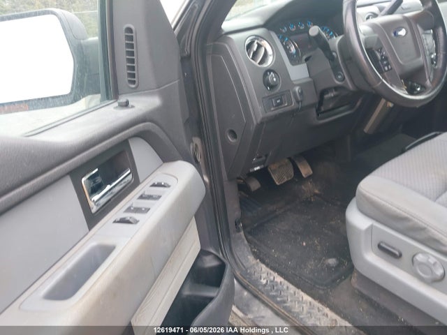 Продаж на аукціоні авто 2013 Ford F-150 Xlt, vin: 1FTFX1EF9DFD71539, номер лоту: 12619471