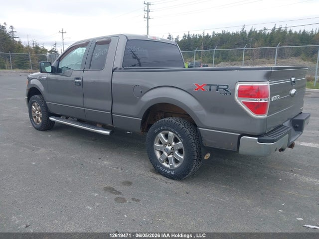 Продаж на аукціоні авто 2013 Ford F-150 Xlt, vin: 1FTFX1EF9DFD71539, номер лоту: 12619471