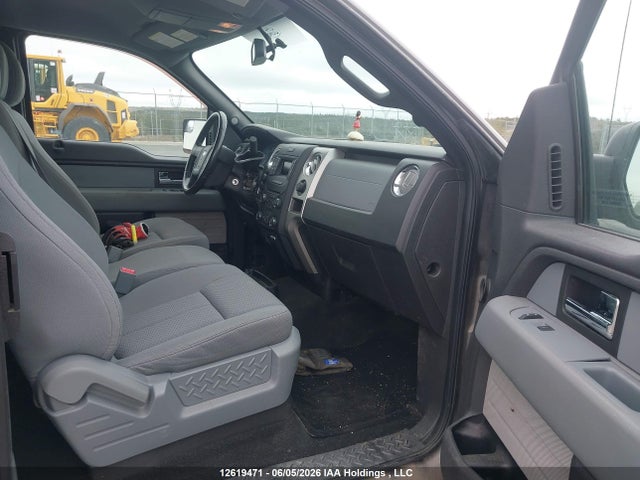 Продаж на аукціоні авто 2013 Ford F-150 Xlt, vin: 1FTFX1EF9DFD71539, номер лоту: 12619471