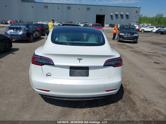 2020 Tesla Model 3 მანქანა იყიდება აუქციონზე, vin: 5YJ3E1EA0LF591510, აუქციონის ნომერი: 12619475