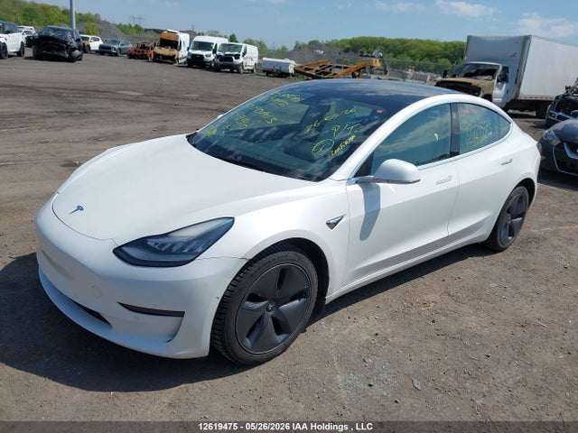 2020 Tesla Model 3 მანქანა იყიდება აუქციონზე, vin: 5YJ3E1EA0LF591510, აუქციონის ნომერი: 12619475