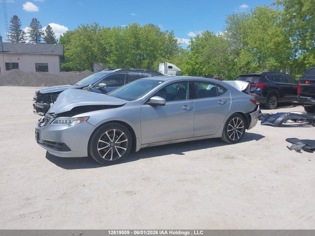 19UUB3F59FA801403 Acura TLX