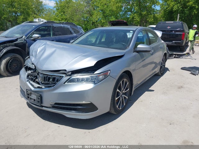 19UUB3F59FA801403 Acura TLX