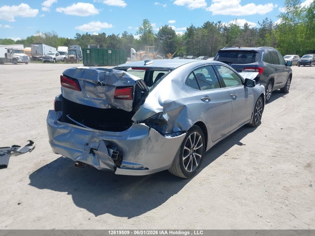19UUB3F59FA801403 Acura TLX