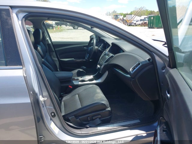 19UUB3F59FA801403 Acura TLX