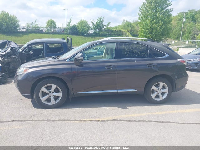 2010 Lexus Rx 350 მანქანა იყიდება აუქციონზე, vin: 2T2BK1BA2AC034846, აუქციონის ნომერი: 12619553