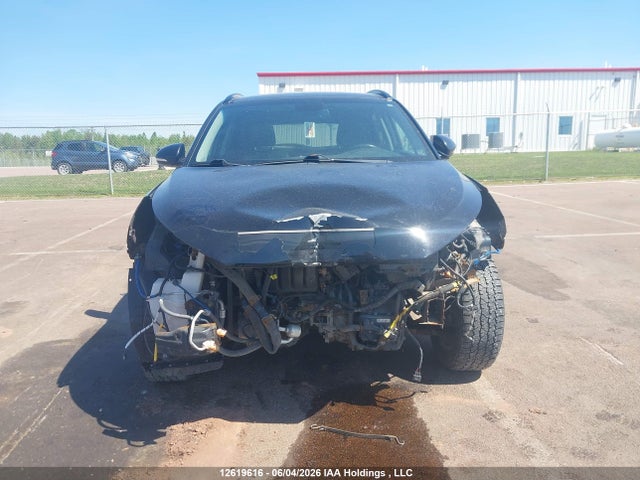 12619616 :رقم المزاد ، KM8J3CA42HU541856 vin ، 2017 Hyundai Tucson Luxury مزاد بيع
