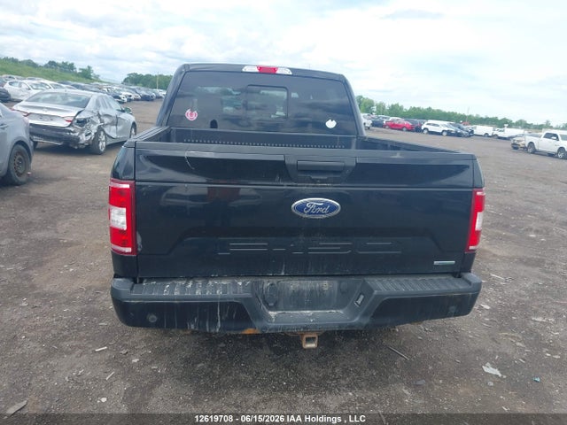 Ford F-150 Xlt 2019 1FTEW1EP2KFB21502 Image 16