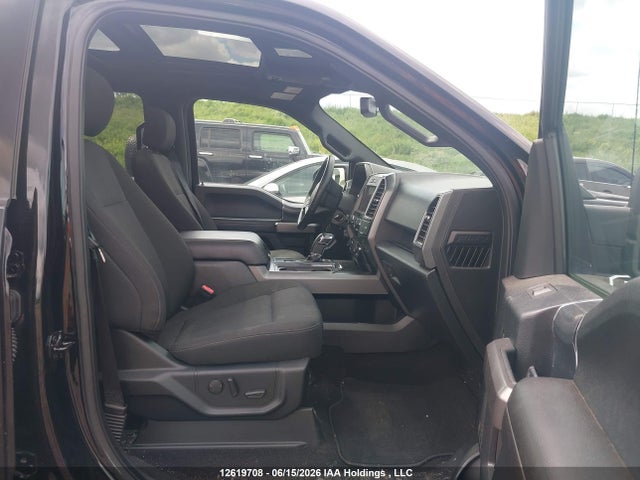 Ford F-150 Xlt 2019 1FTEW1EP2KFB21502 Image 5