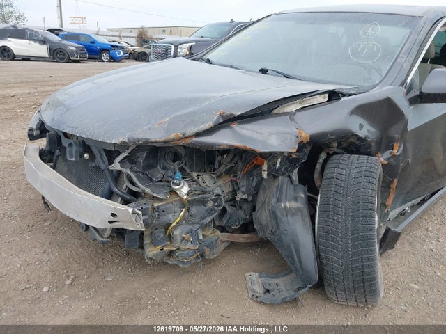 Продажа на аукционе авто 2009 Acura Tsx Premium/technology Package, vin: JH4CU26619C800129, номер лота: 12619709