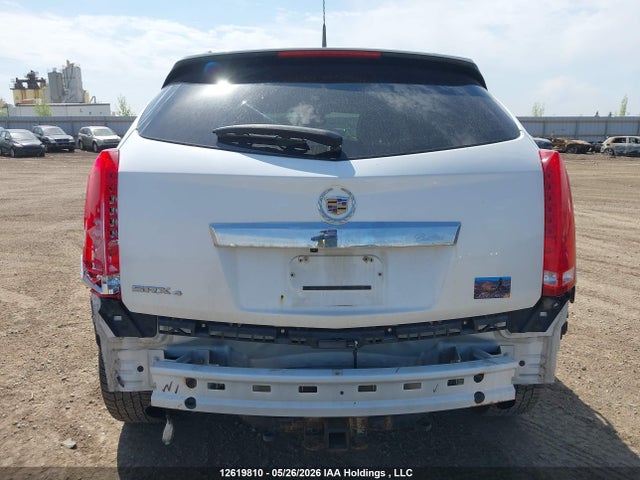 Продаж на аукціоні авто 2011 Cadillac Srx Premium Collection, vin: 3GYFNFEY7BS631928, номер лоту: 12619810
