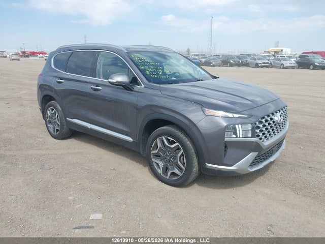 Aukcja sprzedaży 2021 Hyundai Santa Fe Limited, vin: KM8S5DA10MU013575, numer aukcji: 12619910