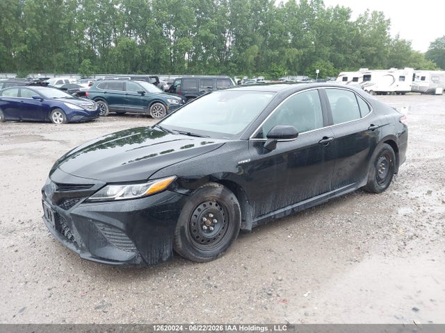 2020 Toyota Camry Xle/se მანქანა იყიდება აუქციონზე, vin: 4T1B21HK8LU014557, აუქციონის ნომერი: 12620024