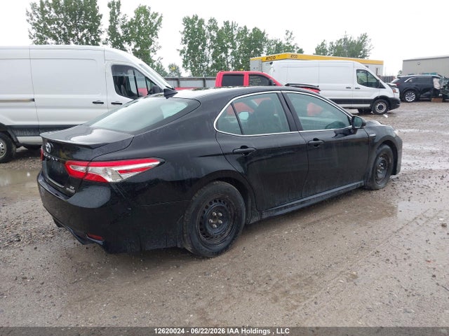 12620024 :رقم المزاد ، 4T1B21HK8LU014557 vin ، 2020 Toyota Camry Xle/se مزاد بيع