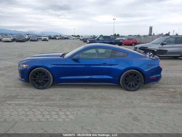 1FA6P8TH6H5288309 Ford Mustang