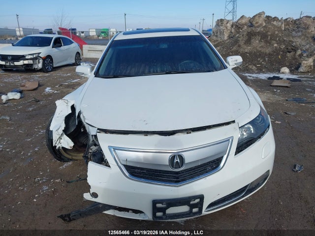 12565466 :رقم المزاد ، 19UUA9F52CA803608 vin ، 2012 Acura Tl مزاد بيع