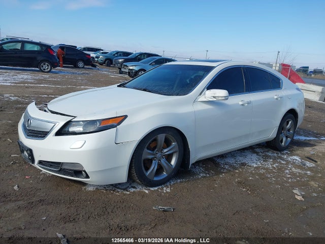 12565466 :رقم المزاد ، 19UUA9F52CA803608 vin ، 2012 Acura Tl مزاد بيع