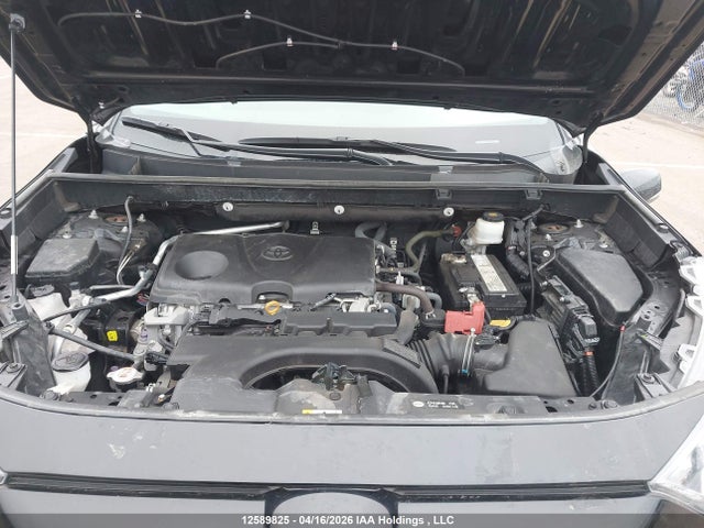 12589825 :رقم المزاد ، 2T3R1RFV7KC017339 vin ، 2019 Toyota Rav4 Xle مزاد بيع