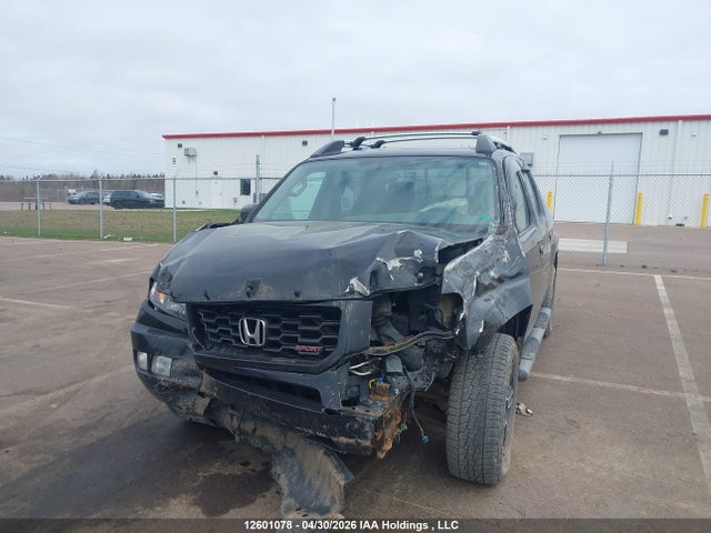 2014 Honda Ridgeline Sport მანქანა იყიდება აუქციონზე, vin: 5FPYK1F74EB501903, აუქციონის ნომერი: 12601078