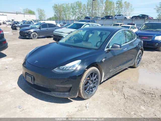 Tesla MODEL 3 2019 5YJ3E1EB2KF394040 Image 2
