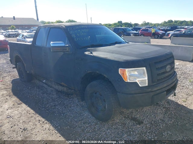 12620193 :رقم المزاد ، 1FTEX1EM6DFC59131 vin ، 2013 Ford F-150 Xl مزاد بيع
