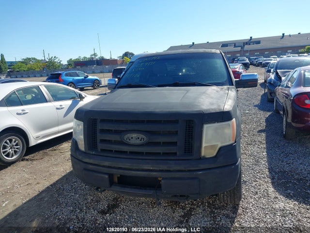 12620193 :رقم المزاد ، 1FTEX1EM6DFC59131 vin ، 2013 Ford F-150 Xl مزاد بيع