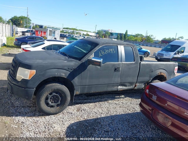 12620193 :رقم المزاد ، 1FTEX1EM6DFC59131 vin ، 2013 Ford F-150 Xl مزاد بيع