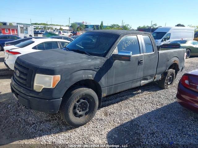 12620193 :رقم المزاد ، 1FTEX1EM6DFC59131 vin ، 2013 Ford F-150 Xl مزاد بيع