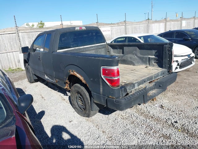 12620193 :رقم المزاد ، 1FTEX1EM6DFC59131 vin ، 2013 Ford F-150 Xl مزاد بيع