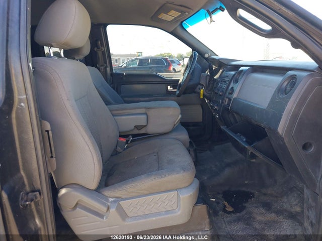 12620193 :رقم المزاد ، 1FTEX1EM6DFC59131 vin ، 2013 Ford F-150 Xl مزاد بيع
