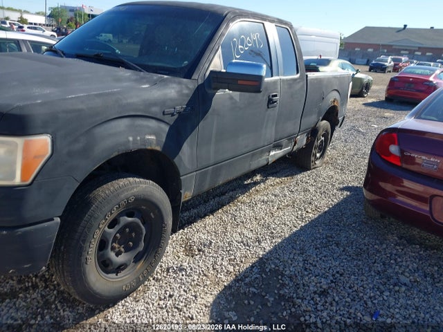 12620193 :رقم المزاد ، 1FTEX1EM6DFC59131 vin ، 2013 Ford F-150 Xl مزاد بيع