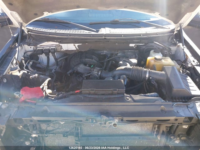 12620193 :رقم المزاد ، 1FTEX1EM6DFC59131 vin ، 2013 Ford F-150 Xl مزاد بيع