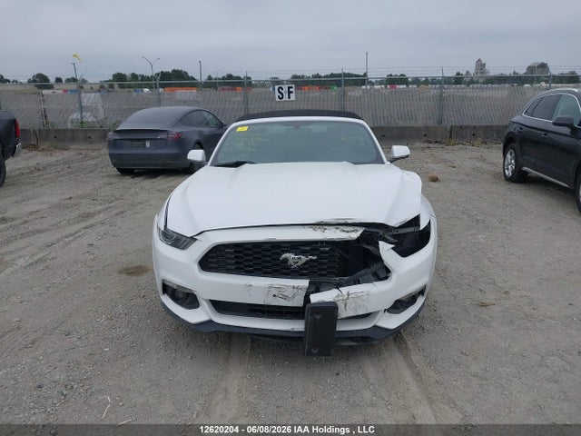 12620204 :رقم المزاد ، 1FATP8UH8H5206730 vin ، 2017 Ford Mustang مزاد بيع