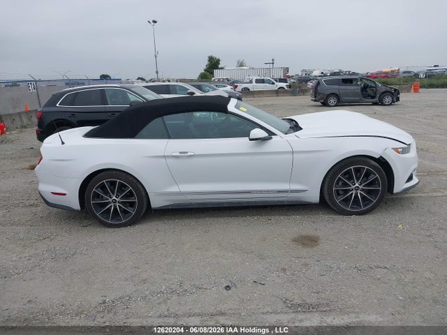 12620204 :رقم المزاد ، 1FATP8UH8H5206730 vin ، 2017 Ford Mustang مزاد بيع