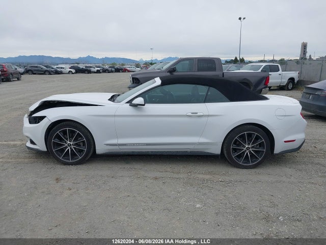 12620204 :رقم المزاد ، 1FATP8UH8H5206730 vin ، 2017 Ford Mustang مزاد بيع