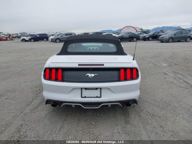 12620204 :رقم المزاد ، 1FATP8UH8H5206730 vin ، 2017 Ford Mustang مزاد بيع