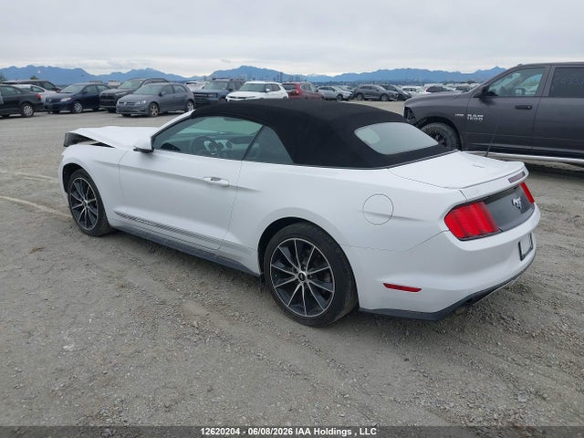 12620204 :رقم المزاد ، 1FATP8UH8H5206730 vin ، 2017 Ford Mustang مزاد بيع