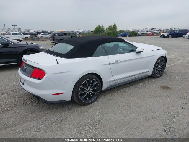12620204 :رقم المزاد ، 1FATP8UH8H5206730 vin ، 2017 Ford Mustang مزاد بيع