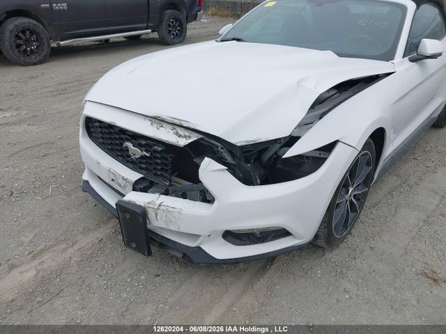 12620204 :رقم المزاد ، 1FATP8UH8H5206730 vin ، 2017 Ford Mustang مزاد بيع