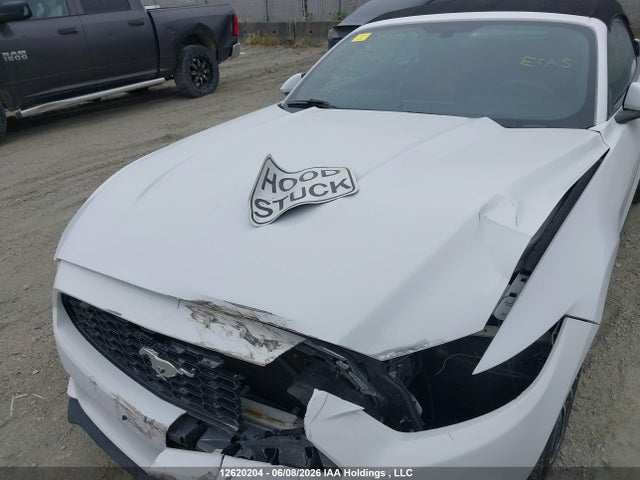 1FATP8UH8H5206730 Ford Mustang