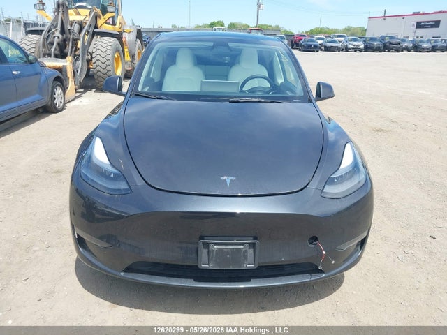 Продажа на аукционе авто 2024 Tesla Model Y Long Range/rwd, vin: 7SAYGDED0RF012443, номер лота: 12620299