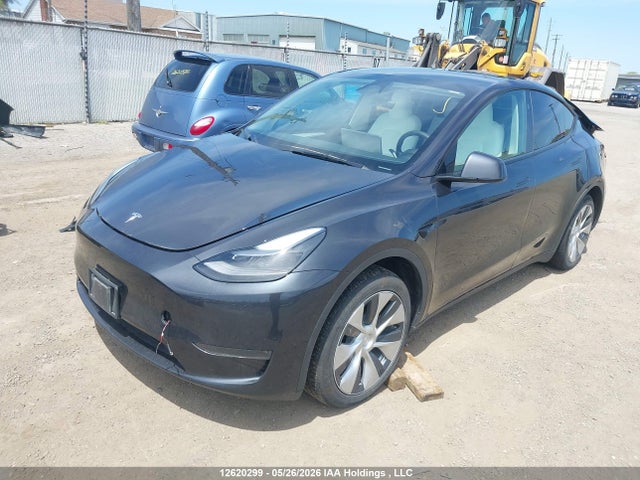 Продажа на аукционе авто 2024 Tesla Model Y Long Range/rwd, vin: 7SAYGDED0RF012443, номер лота: 12620299