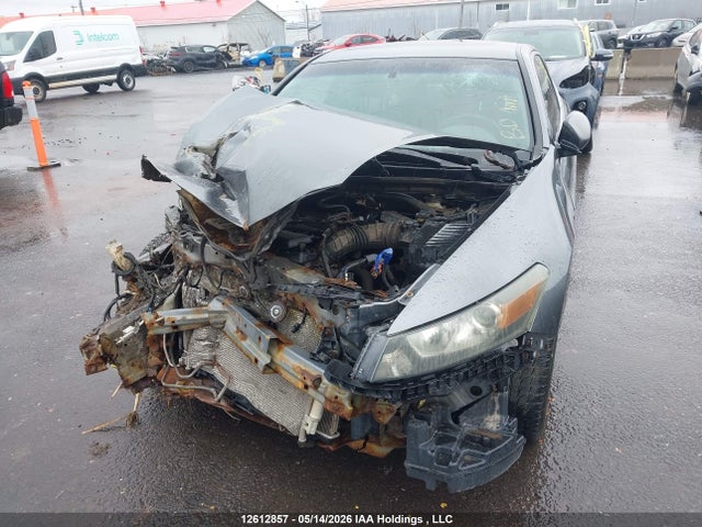 2011 Honda Accord Ex-l მანქანა იყიდება აუქციონზე, vin: 1HGCS1B8XBA800450, აუქციონის ნომერი: 12612857