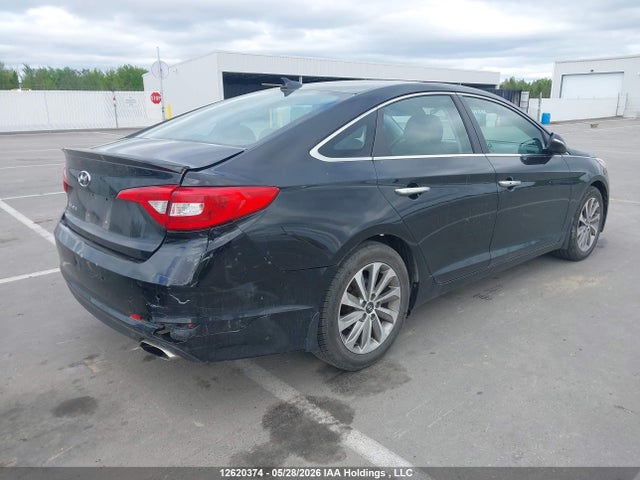5NPE24AF8GH348765 Hyundai Sonata Gls Special Edition
