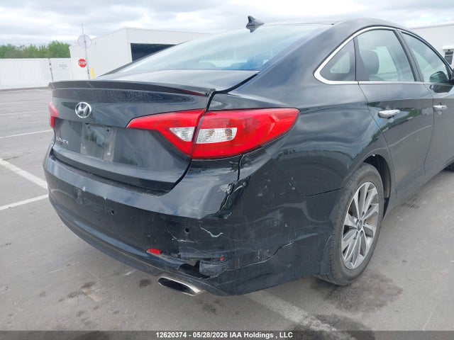 5NPE24AF8GH348765 Hyundai Sonata Gls Special Edition